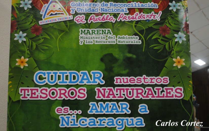Marena2